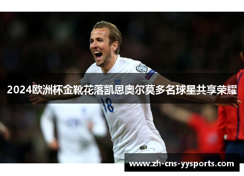 2024欧洲杯金靴花落凯恩奥尔莫多名球星共享荣耀